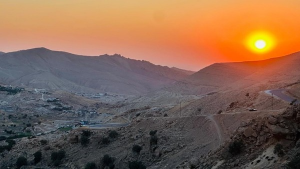 From Displaced Person to EMDR Therapist