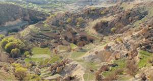 displaced-person-to-emdr-3